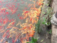 -武汉紫薇都市田园