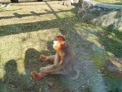 -西安秦岭野生动物园