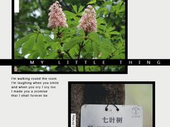-国家植物园