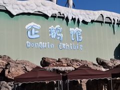 -珠海长隆海洋王国