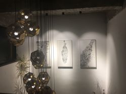 -罗亚帝·NASHOW纳秀形象设计