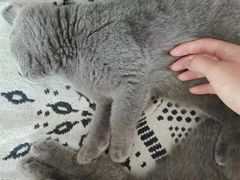 -平行世界·猫咖(首经贸店)