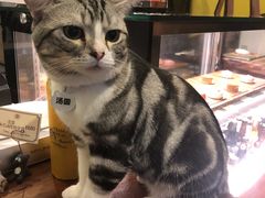 -咖法森林·咖啡  酒吧(天河店)