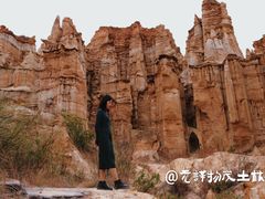 -元谋土林景区(物茂土林)