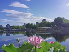 -莲花池公园