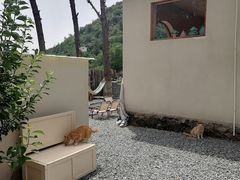 -小时光咖啡馆(开森度假森林店)