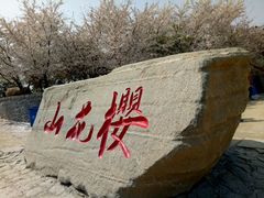 -樱花山风景区