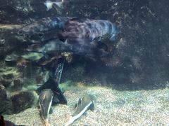 -太平洋海底世界