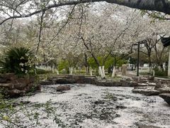 -范蠡湖公园
