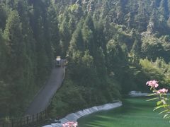 -武陵山森林公园