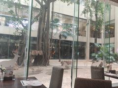 -白虎自助餐厅·真老虎·景观自助餐厅(广州长隆酒店)