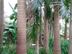 -石家庄市植物园