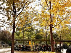 -西美五洲酒店康乐中心