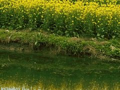 -上海崧泽遗址博物馆