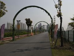 -菊园百果园