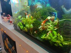 -一杯海(国际海水浴场店)