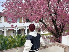 -顺城金记卤鸡·清真