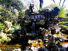 -上海醉白池公园