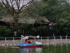-莲湖公园