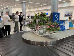 -胡志明新山一国际机场