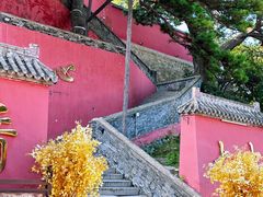 -妙峰山风景名胜区