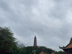 -顺峰山公园