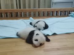 -怪老头甜不辣(抚琴小区店)