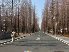 -日照海滨国家森林公园