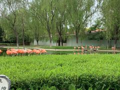 -石家庄市动物园