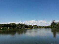 -大兴滨河森林公园