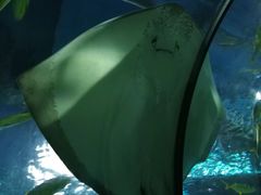 -福州罗源湾海洋世界旅游区