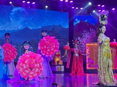 -金东尼人妖秀