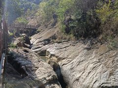 -广州白江湖森林公园