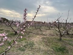 -广富林郊野公园
