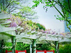 -奉浦四季生态园