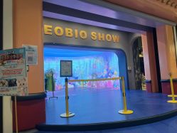 -超级奈尔宝SUPER NEOBIO(杭州星光店)