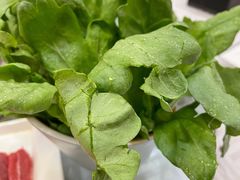 茼蒿-常赢三兄弟·清真涮肉·清真炒菜(朝阳新城店)