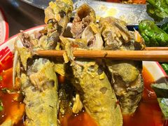 -大江美蛙鱼火锅(都江堰店)