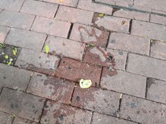 -一些柠檬一些茶(西村店)