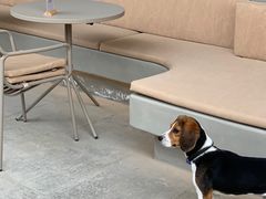 -大小咖啡 BigSmallCoffee(麦子店)