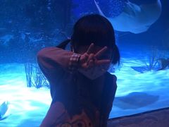 -沈阳海洋探索中心