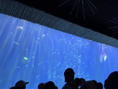 -华夏文旅西安度假区