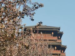 -西安汉城湖景区