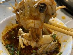-麻辣巅峰美蛙鱼头火锅(犀浦店)