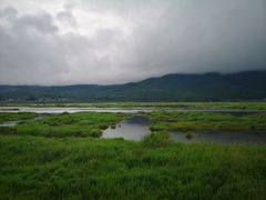 -腾冲北海湿地