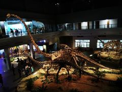 -自贡恐龙博物馆
