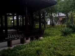 -卯时·龙光雅宴·精致锡帮菜(惠山古镇店)