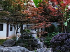 -墨池公园