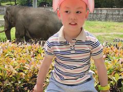 -西安秦岭野生动物园