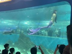 -苏州海洋馆